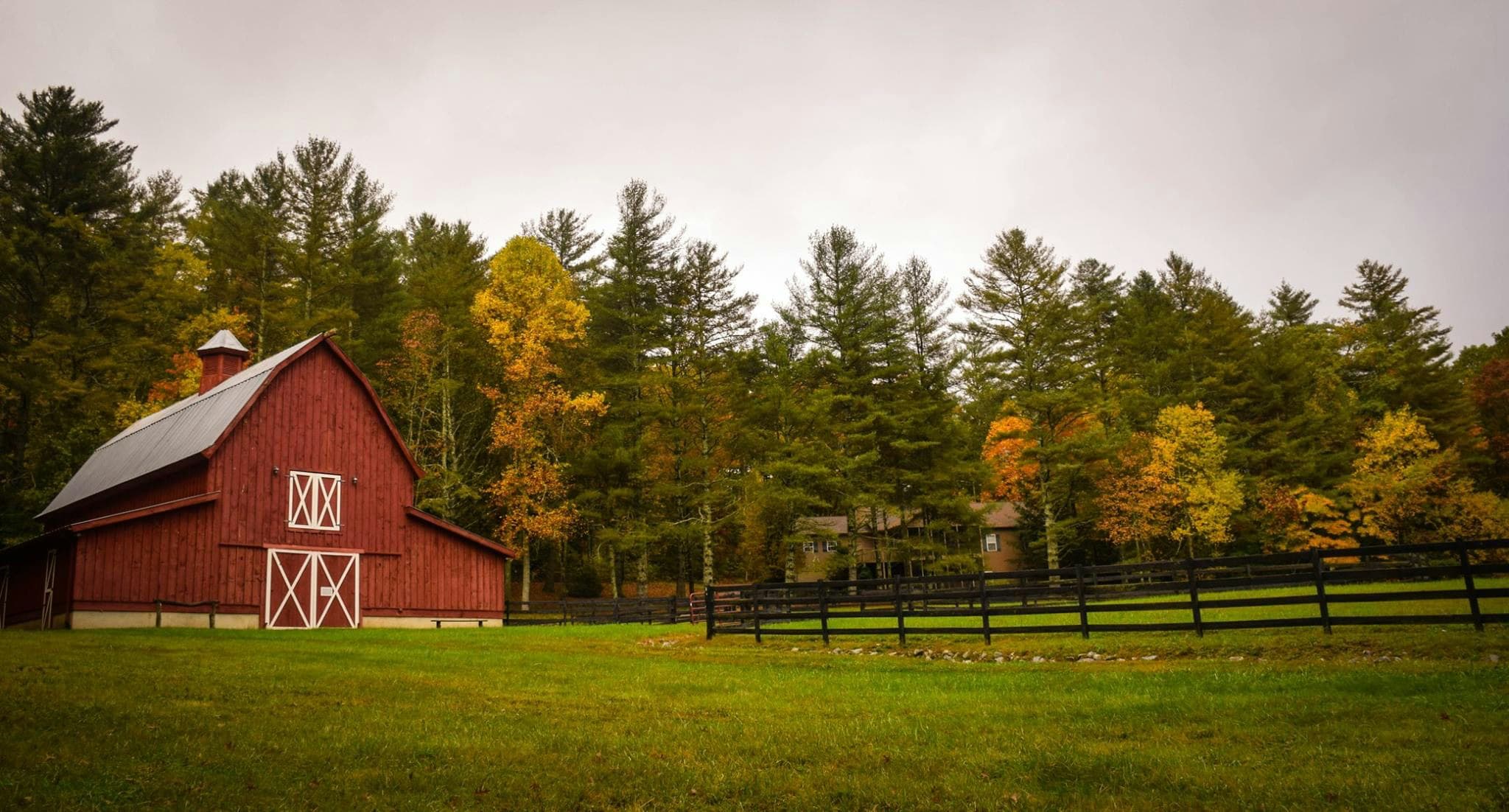Farm Background